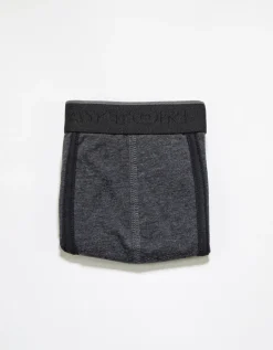 Boxer basic