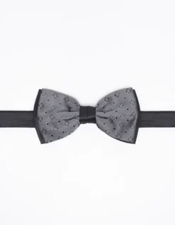 Papillon fantasia