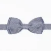 Papillon fantasia