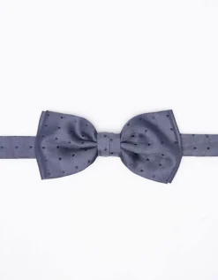Papillon fantasia