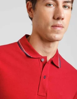 Polo 100% cotone